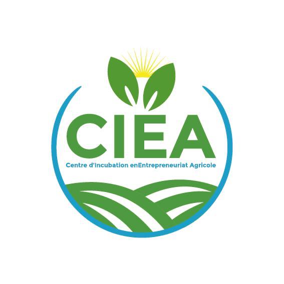 whatsapp image 2024 08 01 at 16.31.42 (5)