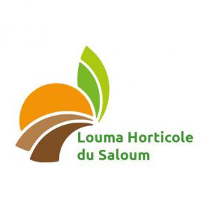 whatsapp image 2024 08 01 at 16.31.43