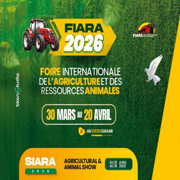 fiara26